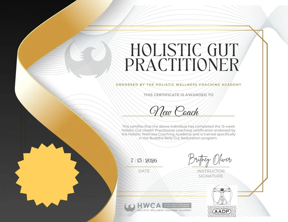 HWCA gut-brain practitioner meeting with a client