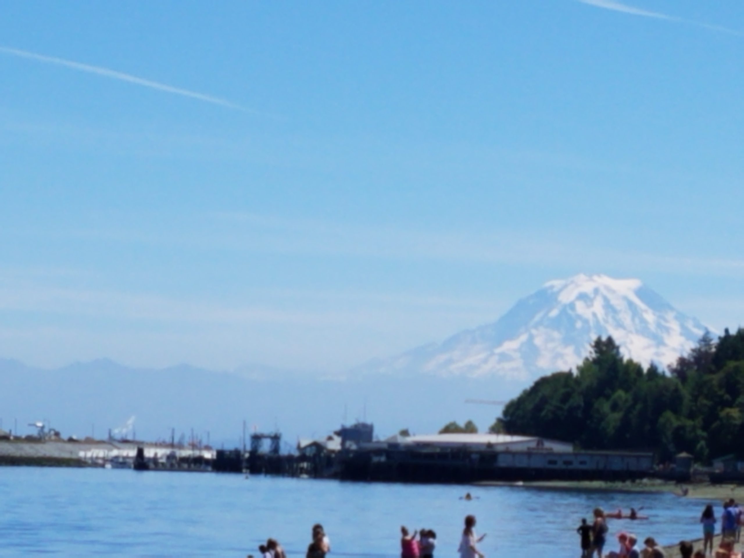 A group of people on a beach with mt rainier in the background.