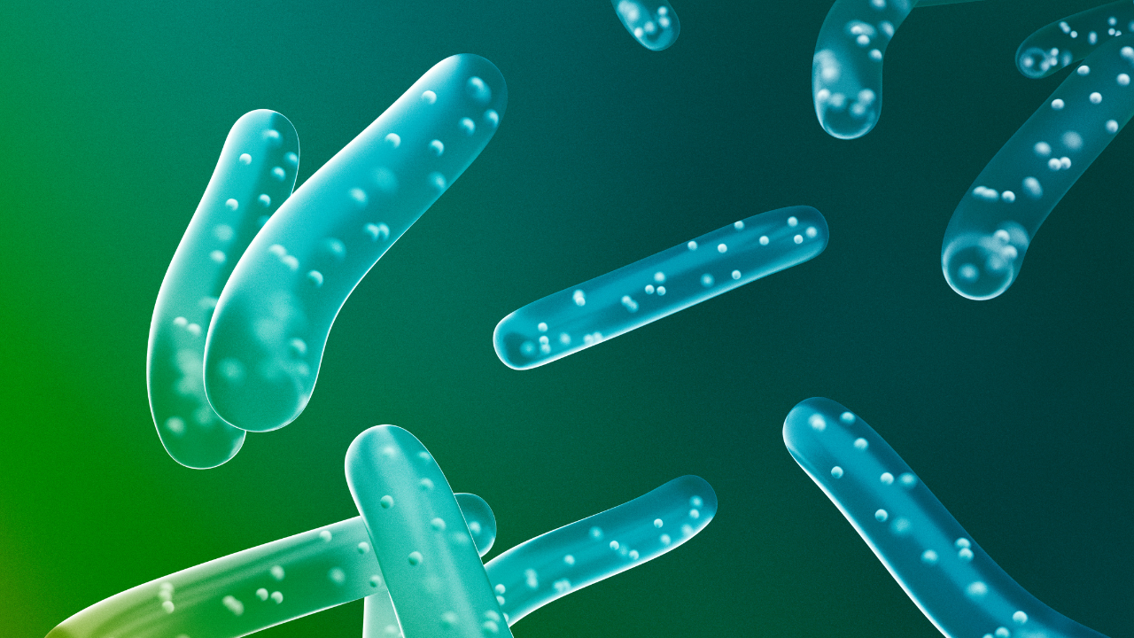 A group of bacteria on a green background.
