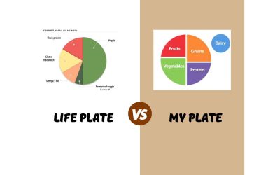 LIFE PLATE vs. MY PLATE