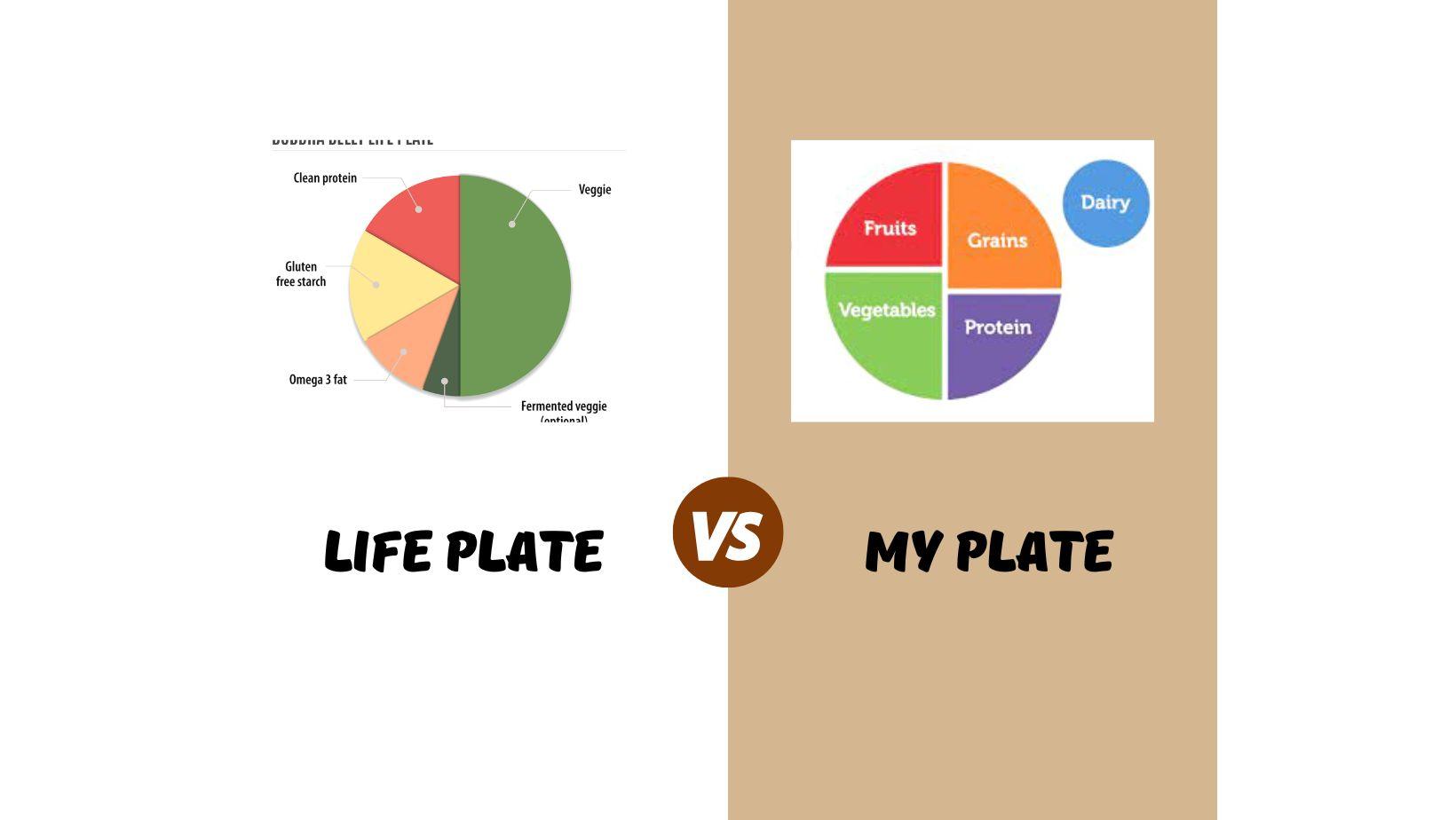 LIFE PLATE vs. MY PLATE