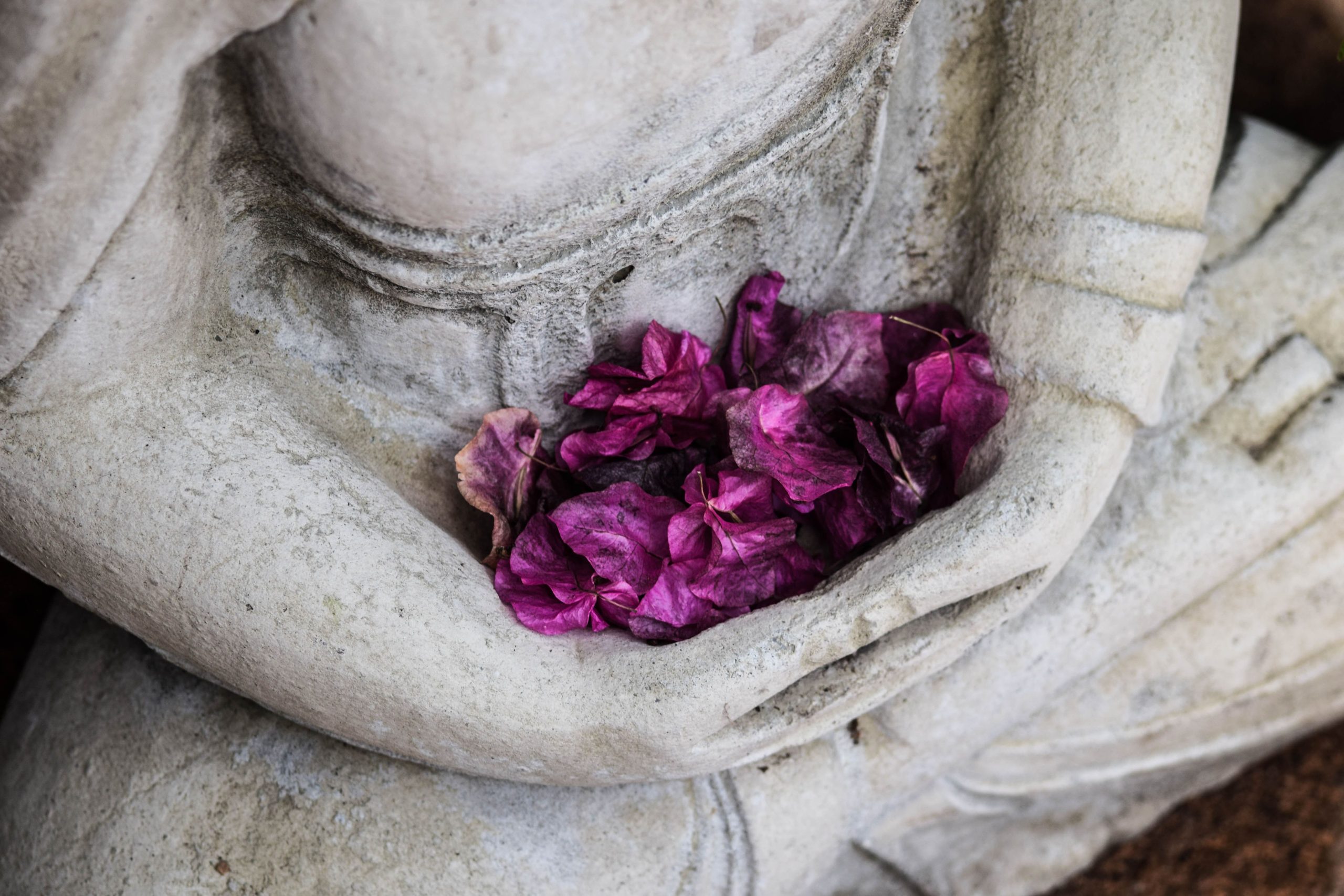 A statue of a buddha holding purple flowers.