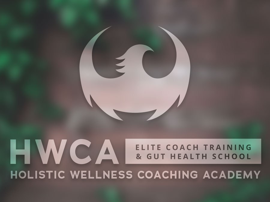 The logo for the holistic wellness coaching academy.
