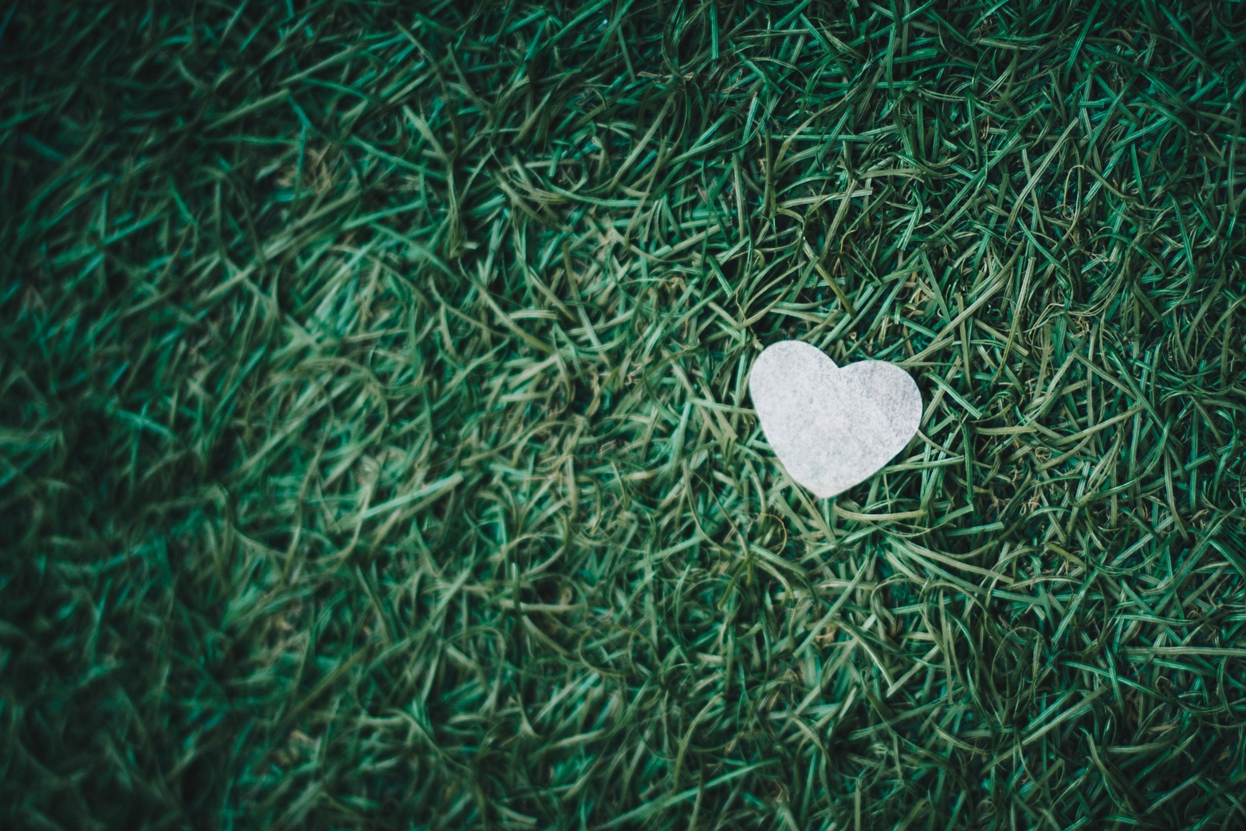 A white heart shaped piece of paper on green grass.