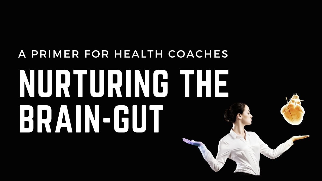 Nurturing the brain-gut
